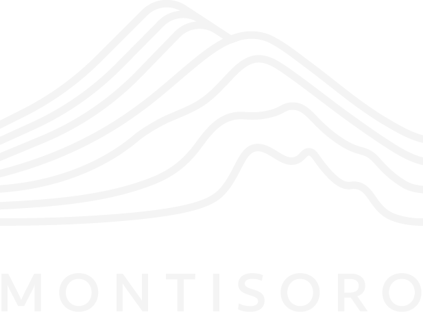 Montisoro